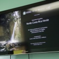 Exposición fotográfica "Verde Costa Rica Verde"