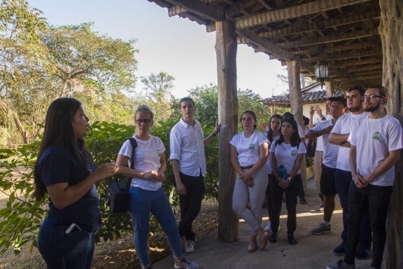 Library Camp - Día 6